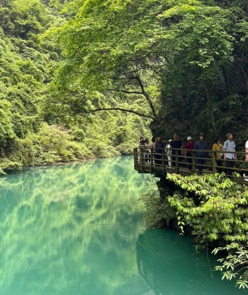 Tourists are hiking along the wooden boardwalk at the bottom of Zhangjiajie Grand Canyon.