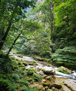 The scenery along Jinbianxi Stream in Zhangjiajie Forest Park is incredibly beautiful.