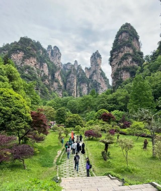 As you enter Huangshizhai, you're surrounded by grasslands and trees, with straight peaks in the distance.