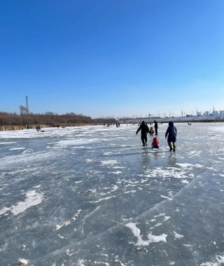 In winter, the Songhua River in Harbin freezes over, and people walk and skate on the ice.