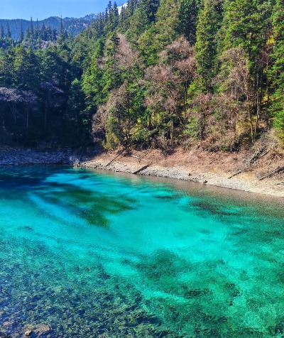 The lakes in Jiuzhaigou are incredibly blue.