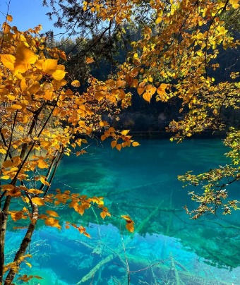 The lakes in Jiuzhaigou are incredibly blue.