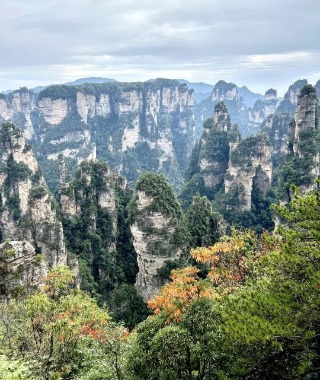 The peaks in the Miao Hun Tai area of Zhangjiajie National Forest Park vary in height and have a more rounded shape.