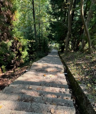 There’s shade on the mountain road, so it’s really cool.