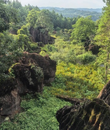 The Red Stone Forest is overgrown with lots of weeds.