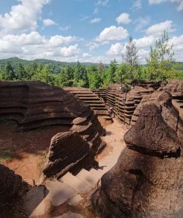 Red Stone Forest