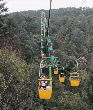 Sitting on the cable car at Spruce Meadow, you're surrounded by trees.