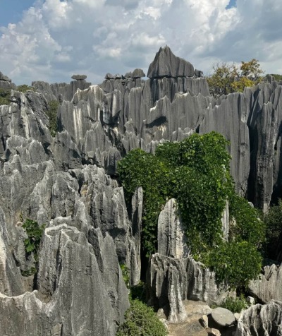 The Stone Forest in Kunming is full of oddly shaped rocks, and there are countless of them.