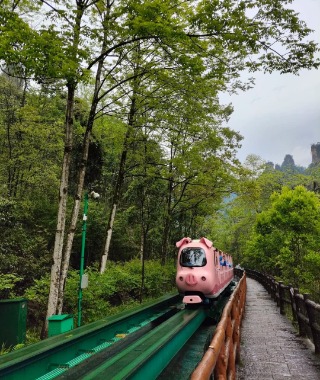 The sightseeing train along the Ten-Mile Gallery, shaped like a little pig.