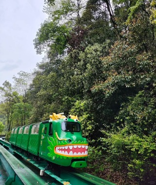 The sightseeing train along the Ten-Mile Gallery, shaped like a dragon.