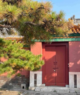 The walls inside the Forbidden City are red, and they look beautiful against the backdrop of green leaves.