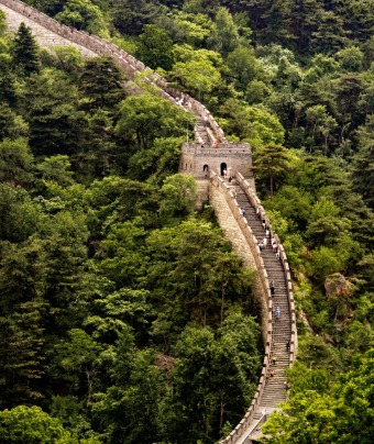 On both sides of the Great Wall, there are fields of lush trees with thick, vibrant leaves.