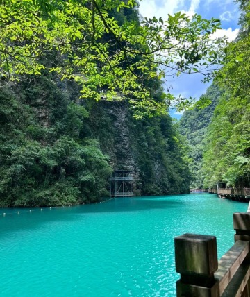 The sides of the lake are covered with green plants.