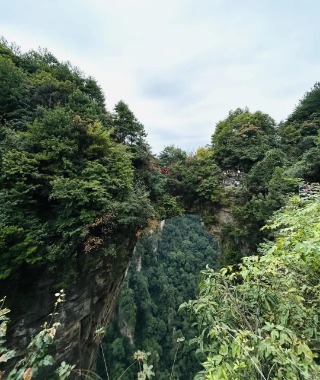 Two mountains are covered with dense trees, connected in the middle by a natural stone bridge.