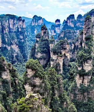 The peaks at Yuanjiajie are very densely packed.