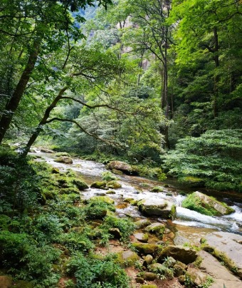 The natural environment of Golden Whip Stream in Zhangjiajie National Forest Park is ancient and beautiful.