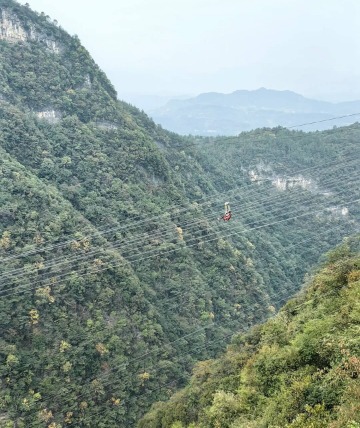 Tourists are zipping through mid-air on the zip line.