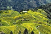 Longji Rice Terraces-Guilin Travel Guide